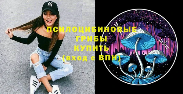 дурь Аркадак