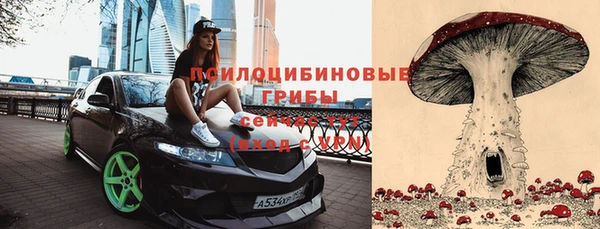 дурь Аркадак