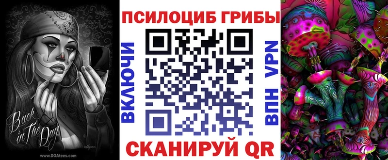 кракен маркетплейс  Порхов  Галлюциногенные грибы Psilocybine cubensis 